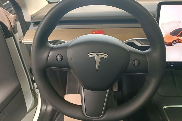 Tesla Model Y 2022 car image #15