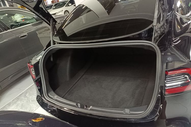 Tesla Model 3 2023 car image #19