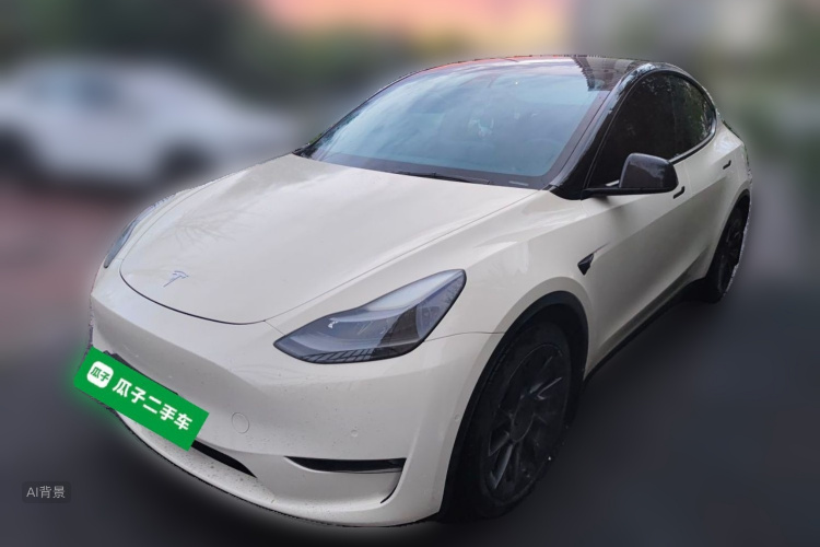 Tesla Model Y 2021 car image #2