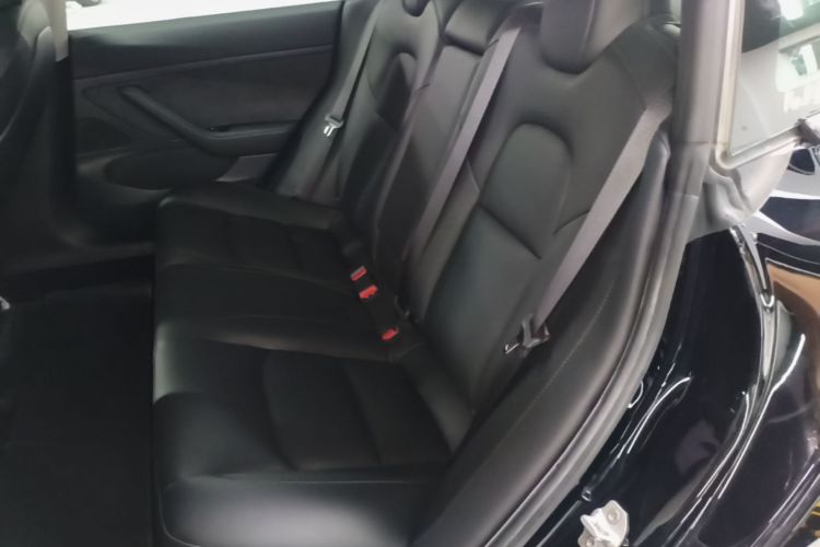 Tesla Model 3 2020 car image #13