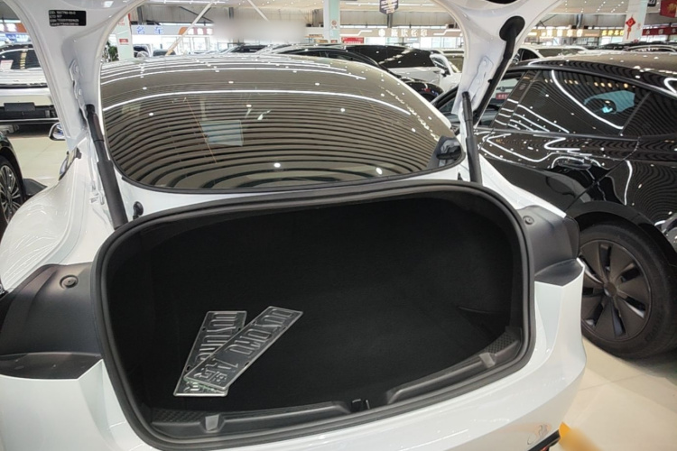 Tesla Model 3 2025 immagine di auto #19