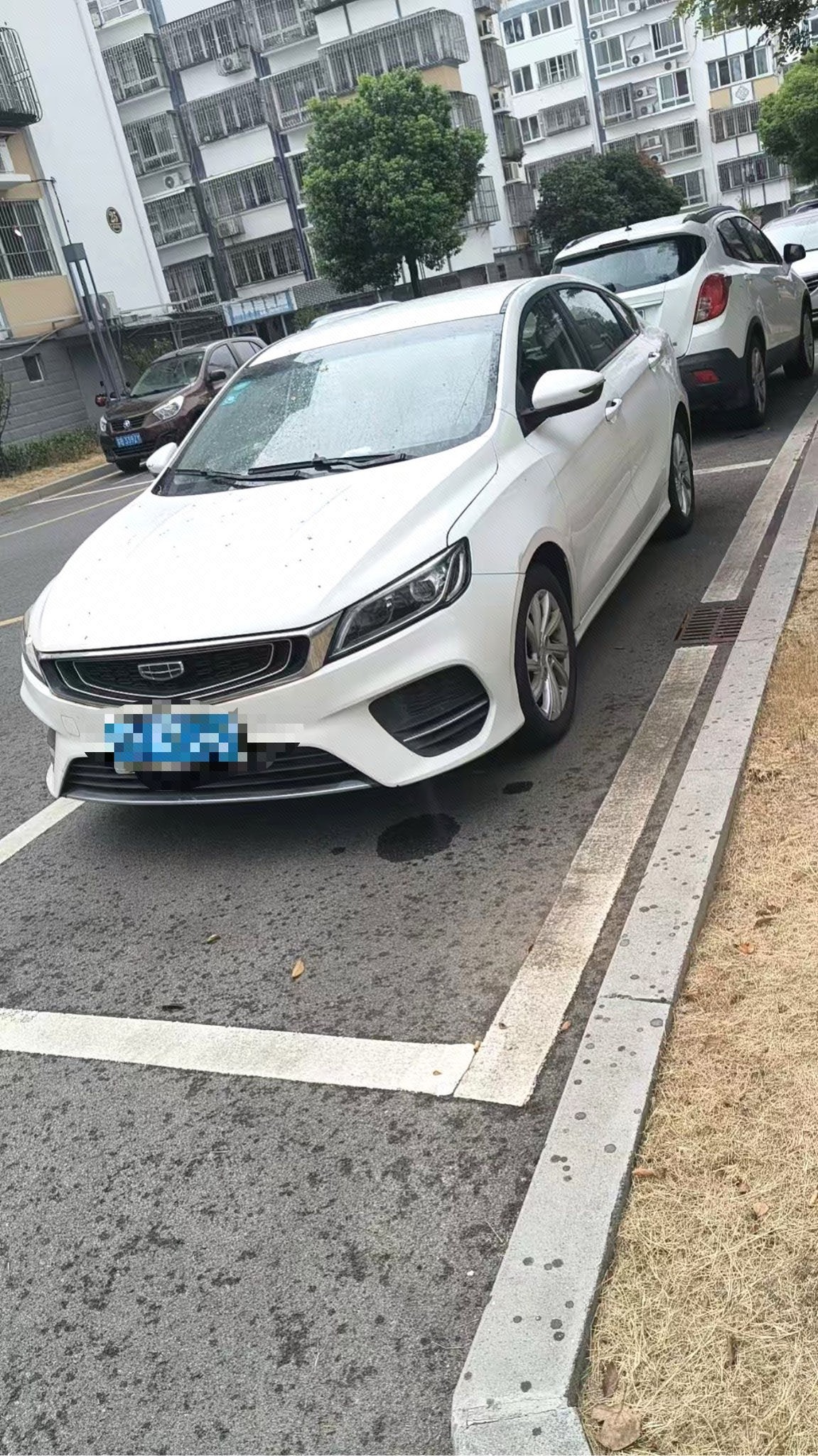 2020 immagine di auto 