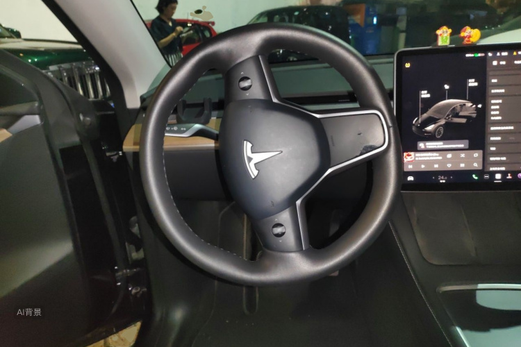 Tesla Model Y 2021 car image #12