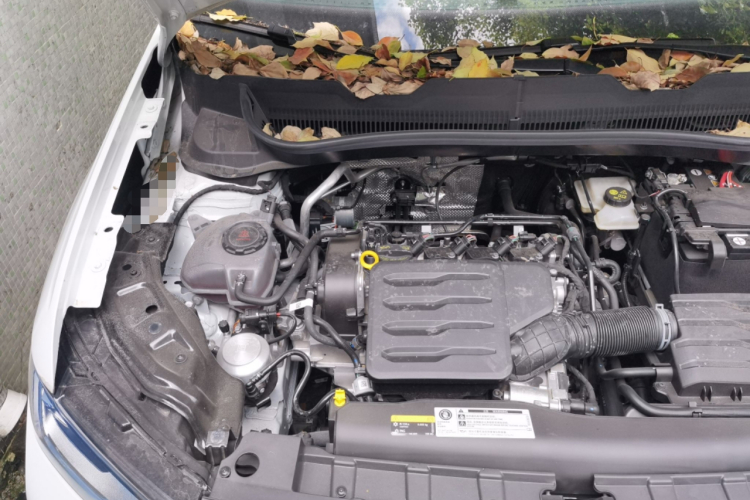 Volkswagen Tharu 2025 изображение автомобиля #24