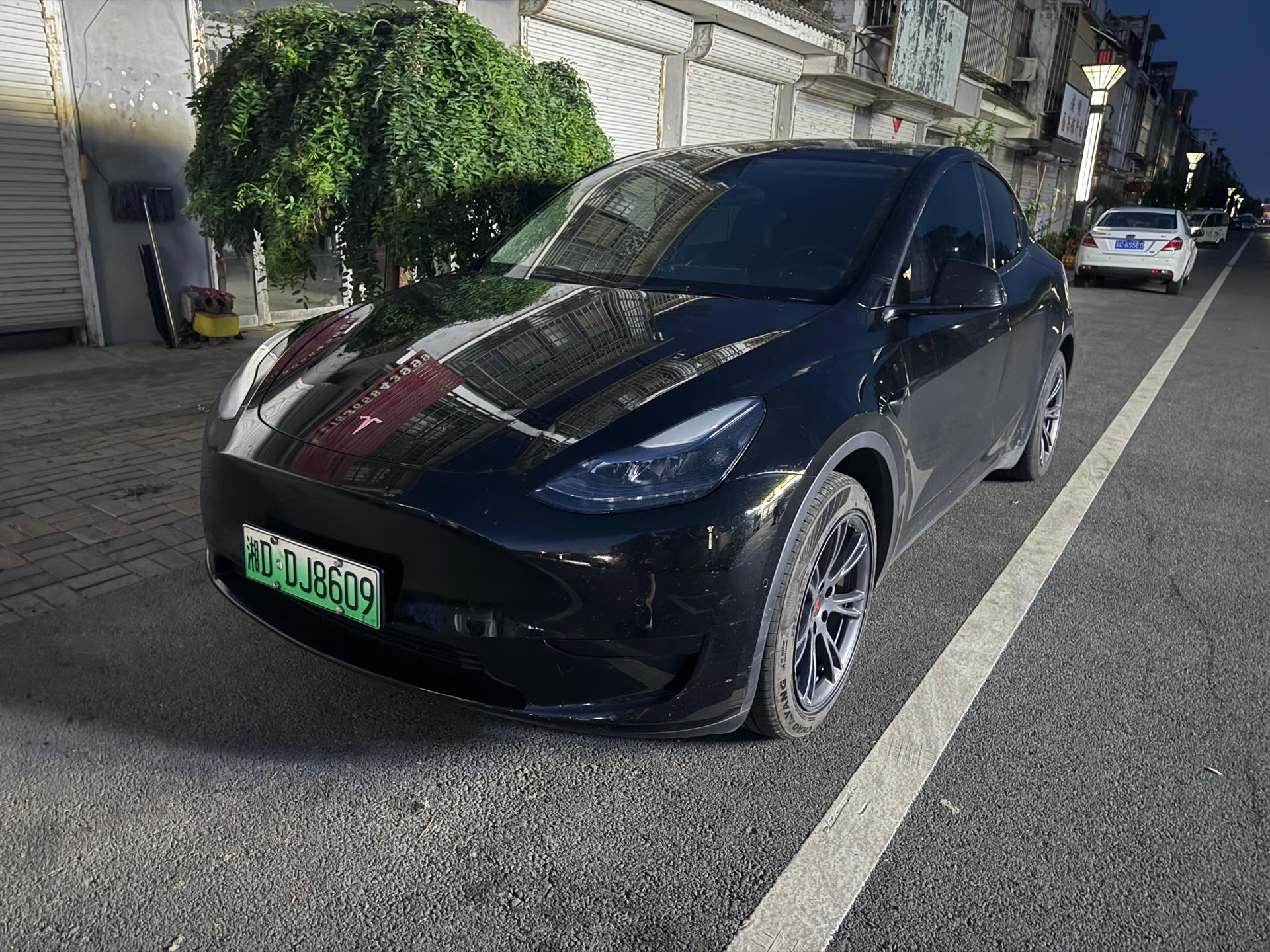 Tesla Model Y 2023 Tesla Model Y 2023 car image