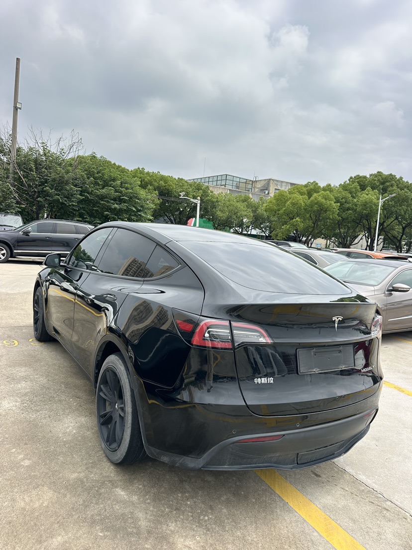Tesla Model Y 2021 #3 Tesla Model Y 2021 car image #3