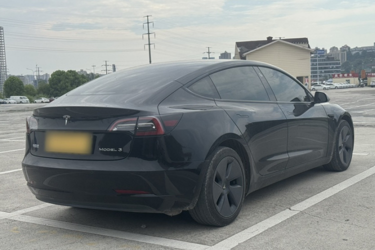 Tesla Model 3 2021 #6 Tesla Model 3 2021 car image #6