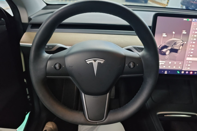 Tesla Model Y 2022 car image #11