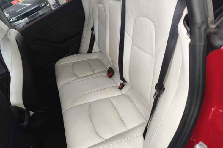 Tesla Model 3 2020 car image #17
