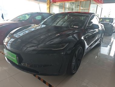 Tesla Model 3 2024 Tesla Model 3 2024 car image