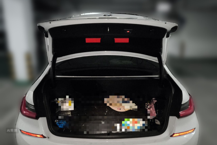 BMW 3 Series 2020 car image #21