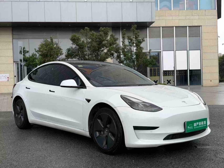 Tesla Model 3 2021 #3 Tesla Model 3 2021 car image #3