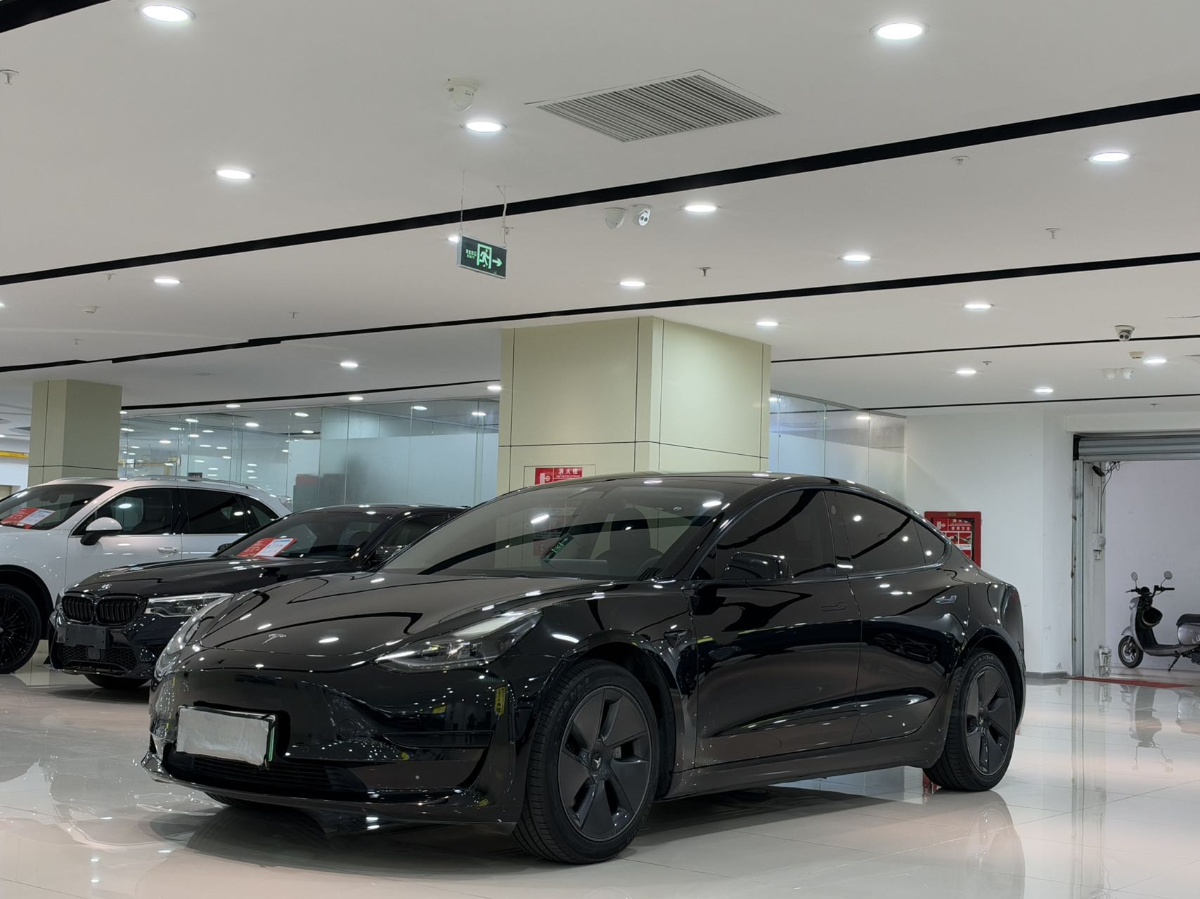 Tesla Model 3 2021 Tesla Model 3 2021 immagine di auto