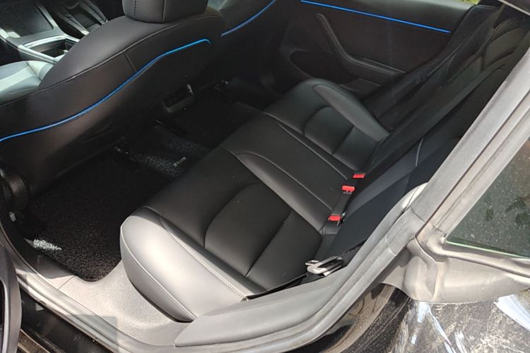 Tesla Model 3 2021 #17 Tesla Model 3 2021 صورة سيارة #17