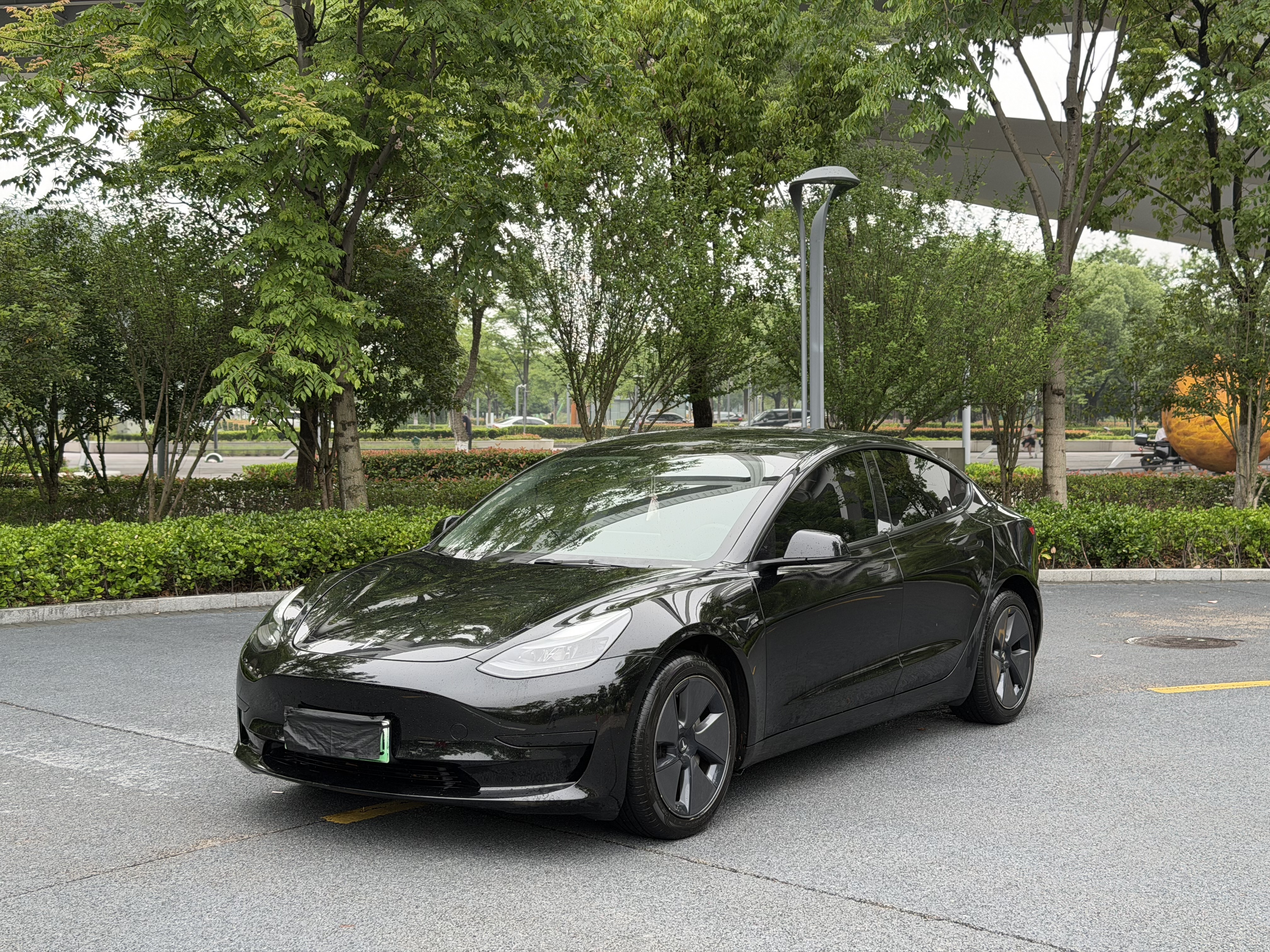 Tesla Model 3 2021 immagine di auto 