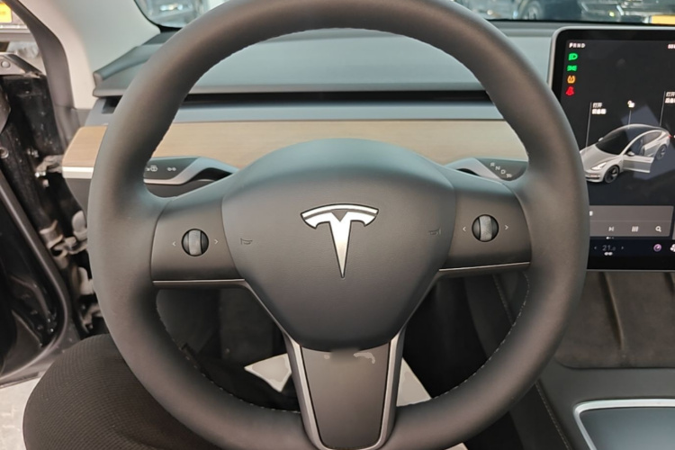 Tesla Model 3 2021 #11 Tesla Model 3 2021 car image #11