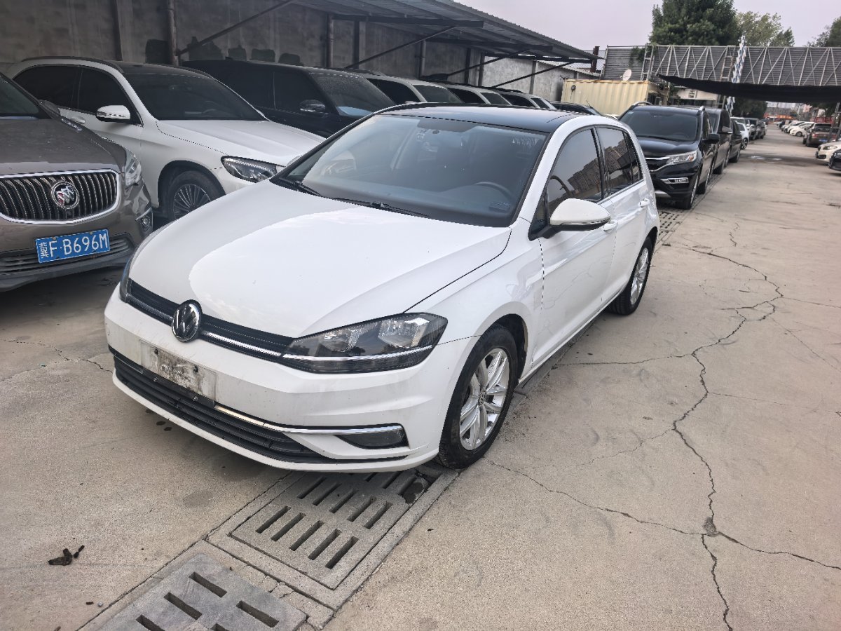 Volkswagen Golf 2019 Volkswagen Golf 2019 car image