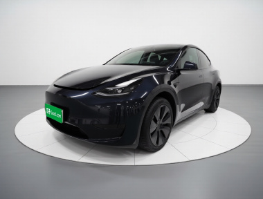 Tesla Model Y 2024 Tesla Model Y 2024 car image