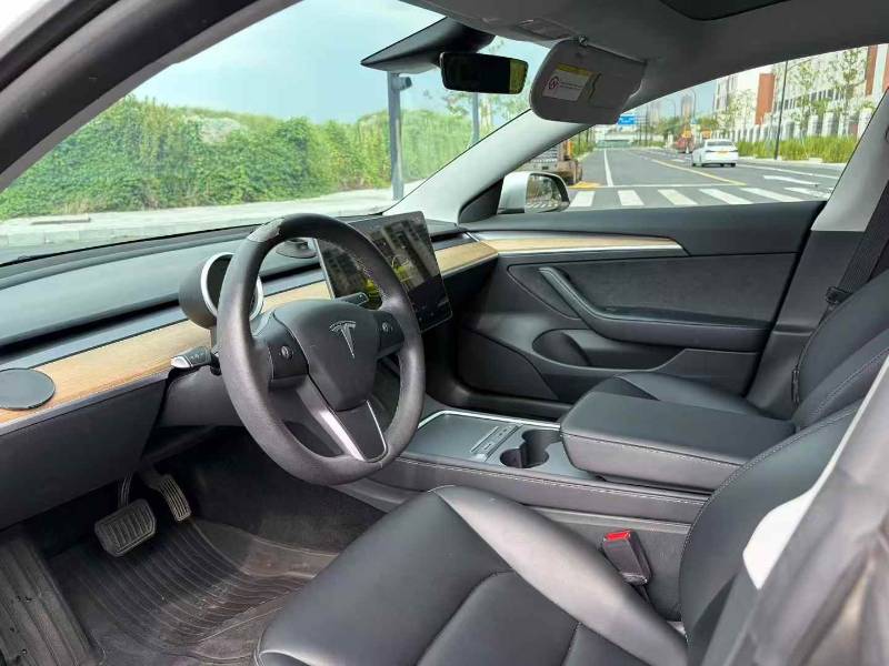 Tesla Model 3 2022 car image #6