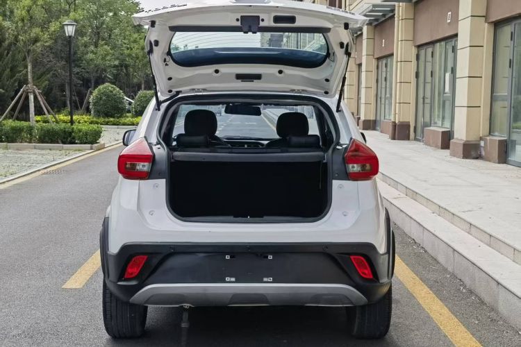 Chery Tiggo 3x 2021 imagen de coche #19