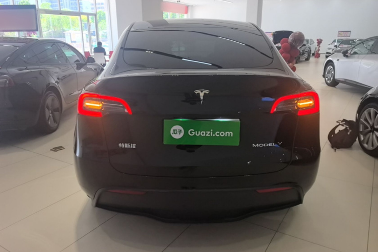 Tesla Model Y 2023 immagine di auto #6