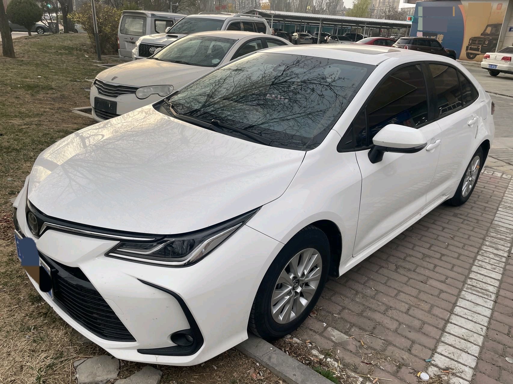 Toyota Corolla 2022 Toyota Corolla 2022 car image