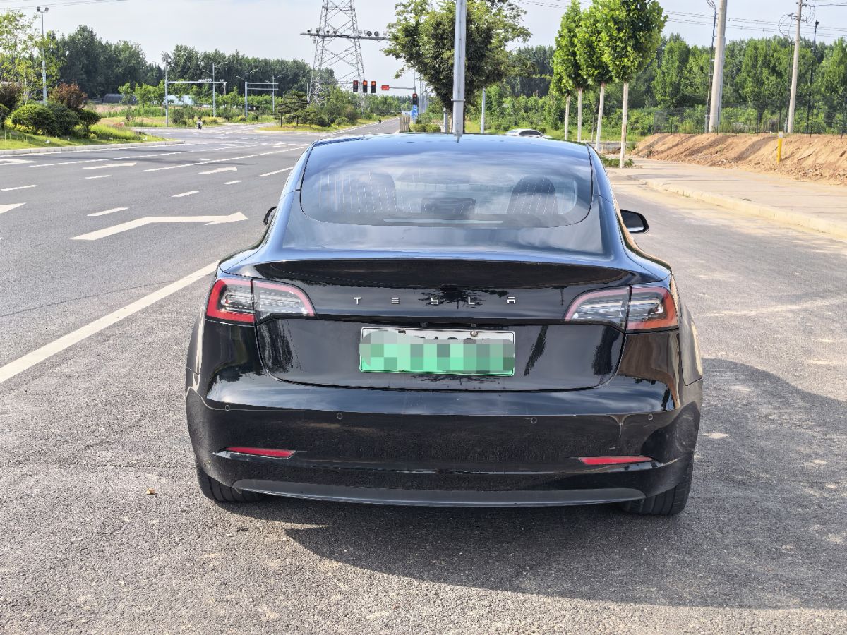 Tesla Model 3 2020 #8 Tesla Model 3 2020 car image #8