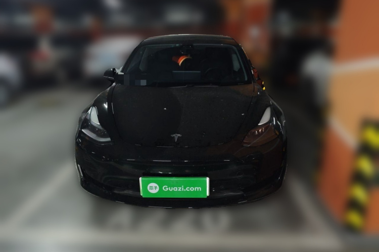 Tesla Model 3 2021 #3 Tesla Model 3 2021 car image #3