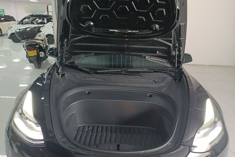 Tesla Model 3 2021 car image #20