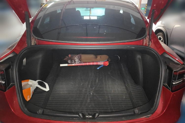 Tesla Model 3 2021 #17 Tesla Model 3 2021 car image #17