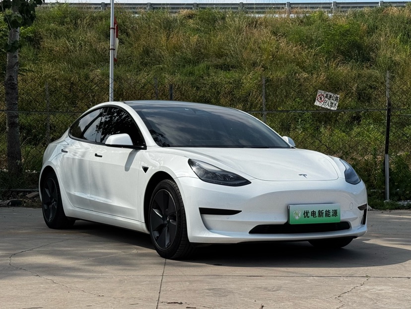 Tesla Model 3 2022 #2 Tesla Model 3 2022 car image #2