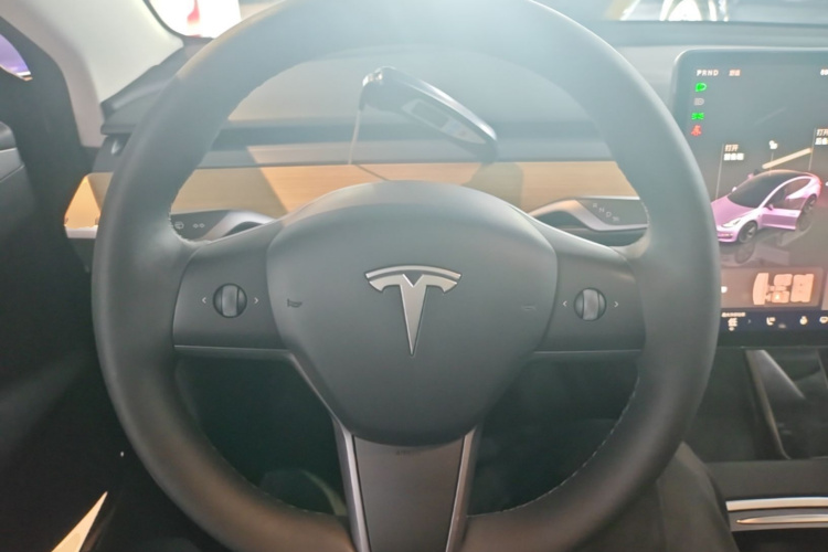 Tesla Model 3 2023 car image #11