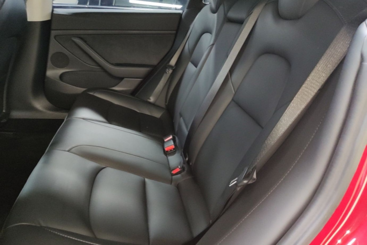 Tesla Model 3 2020 car image #13