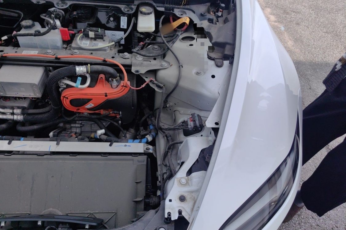 Tesla Model 3 2024 immagine di auto #12