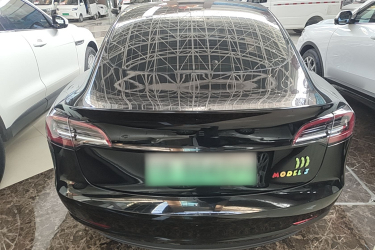 Tesla Model 3 2021 #6 Tesla Model 3 2021 car image #6
