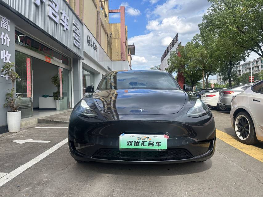Tesla Model Y 2024 car image #2