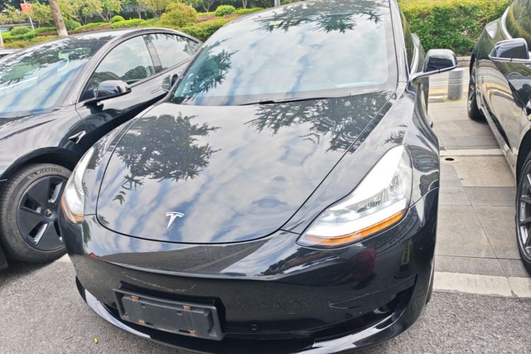 Tesla Model 3 2020 #3 Tesla Model 3 2020 car image #3