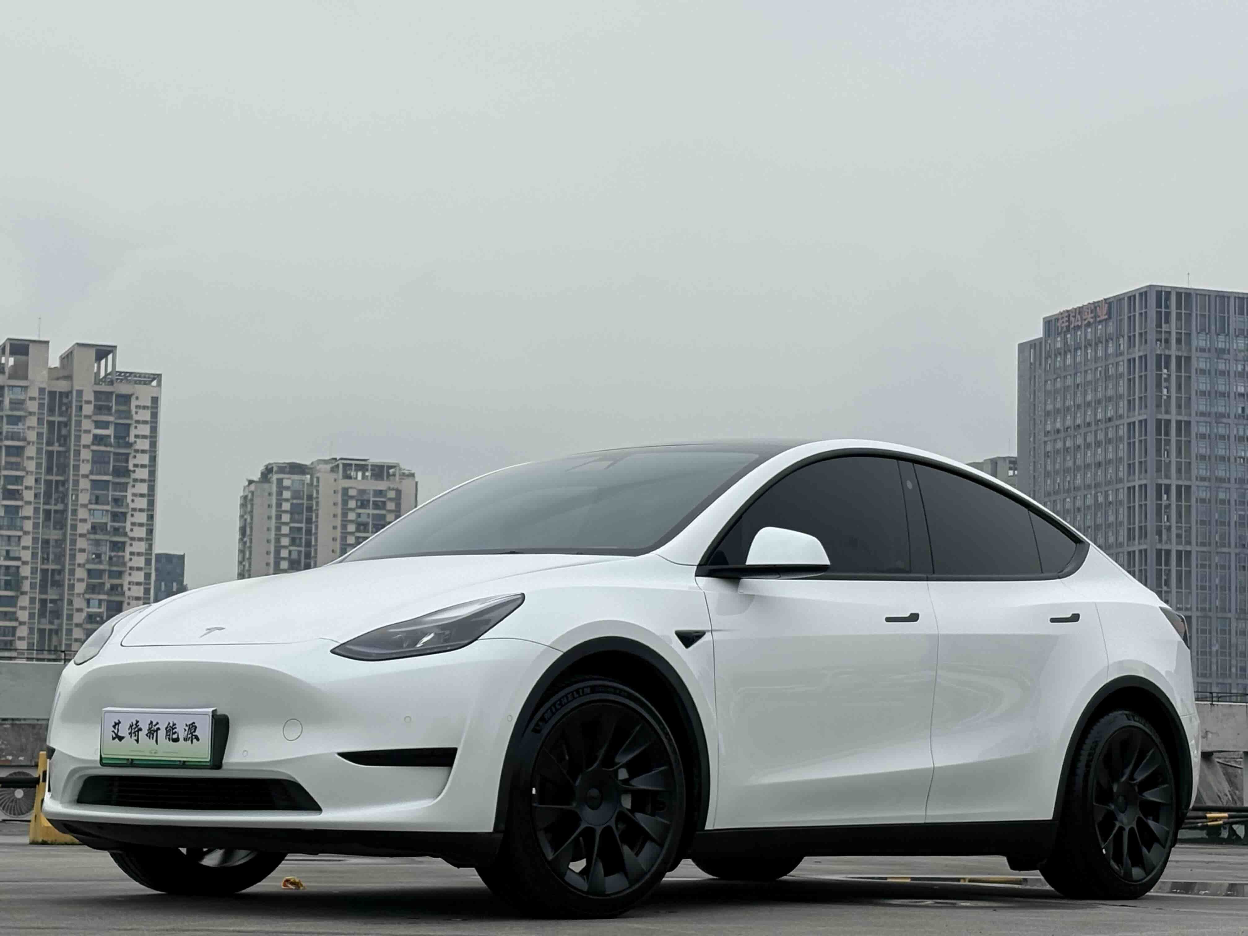 Tesla Model Y 2023 изображение автомобиля 