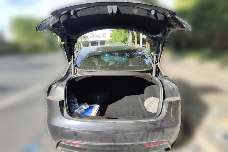 Tesla Model 3 2024 #21 Tesla Model 3 2024 car image #21