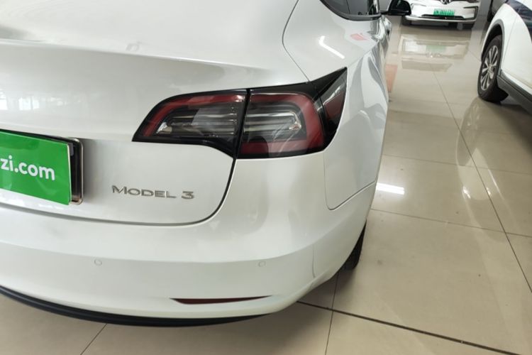 Tesla Model 3 2021 #8 Tesla Model 3 2021 car image #8