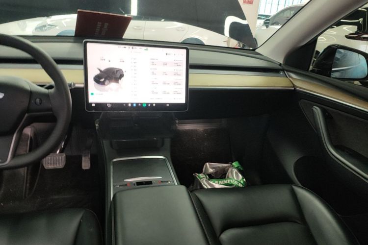 Tesla Model Y 2023 #13 Tesla Model Y 2023 car image #13