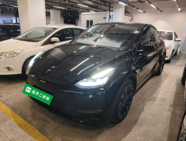Tesla Model Y 2023 Tesla Model Y 2023 car image