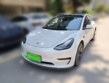 Tesla Model 3 2021 Tesla Model 3 2021 car image