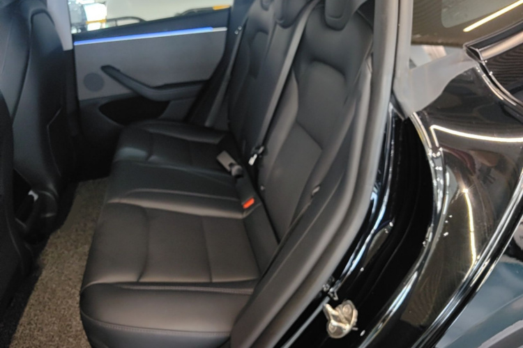 Tesla Model 3 2023 car image #17