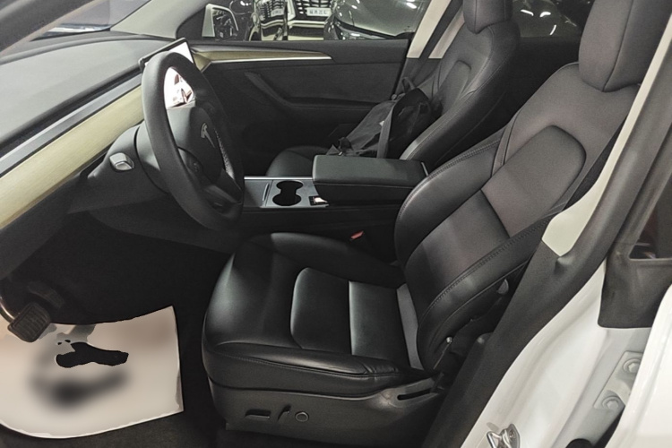 Tesla Model Y 2023 car image #15