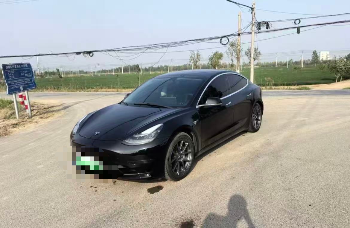 Tesla Model 3 2023 Tesla Model 3 2023 car image