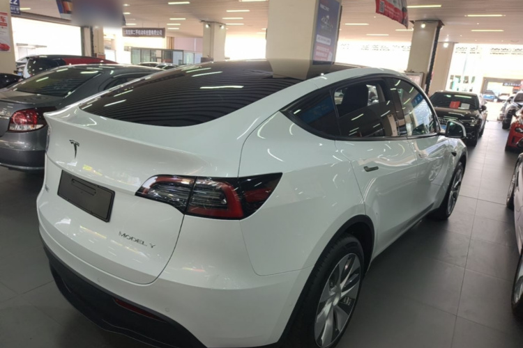 Tesla Model Y 2022 #7 Tesla Model Y 2022 car image #7