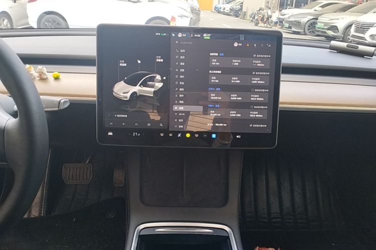 Tesla Model 3 2022 #13 Tesla Model 3 2022 immagine di auto #13