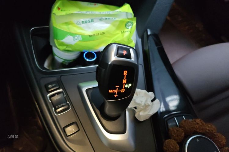 BMW 3 Series 2019 car image #16