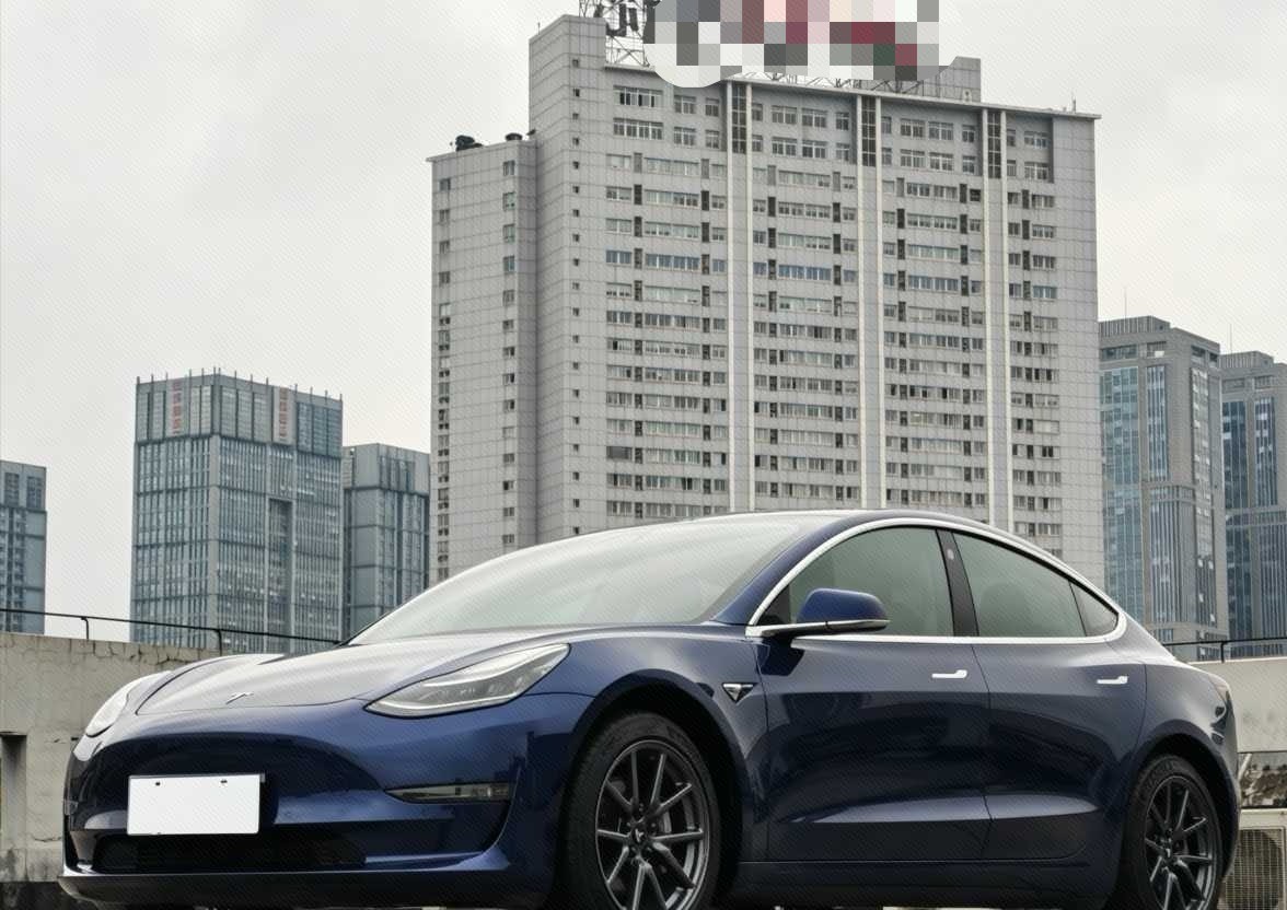 Tesla Model 3 (Imported) 2019 immagine di auto 